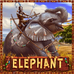 ELEPHANT_PSS-ON-00047_en